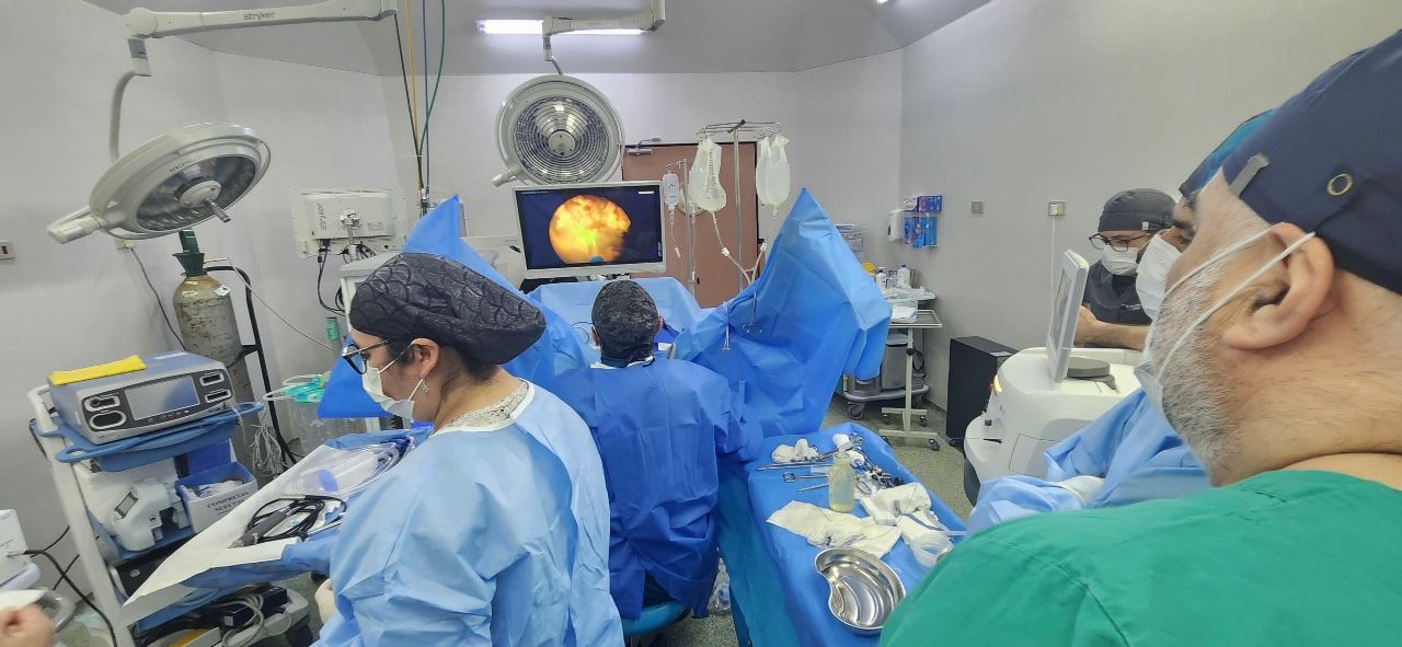 láser de holmio hospicastro